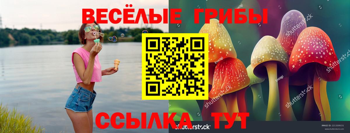 как найти наркотики  Вход с VPN  Галлюциногенные грибы Psilocybine cubensis  Амурск  Галлюциногенные грибы MAGIC MUSHROOMS 